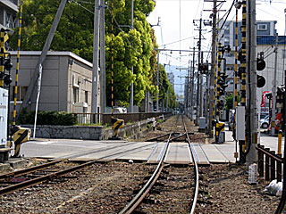 SCw