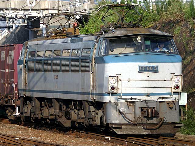 EF66^0ԑ ݕF (EF66-5)  EF66-5
